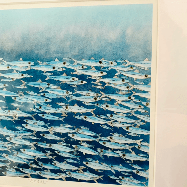 A Limited Edition Print, Shoal 127/200