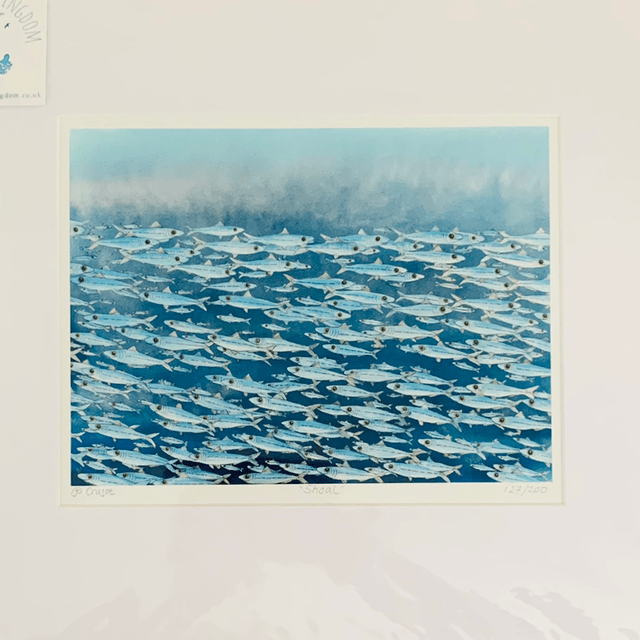 A Limited Edition Print, Shoal 127/200