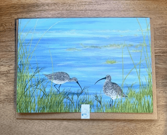 Wildlife,  Curlews