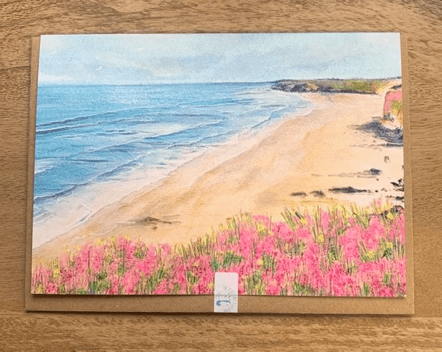 Cornwall Seascape, Sea Pinks